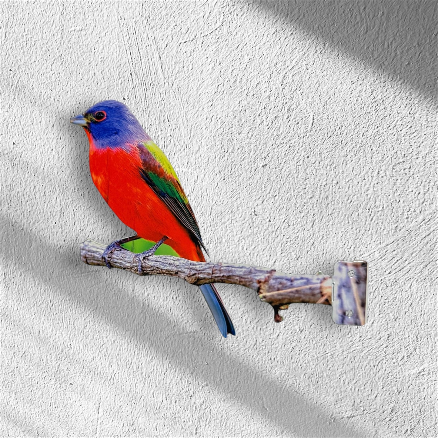 Painted Bunting