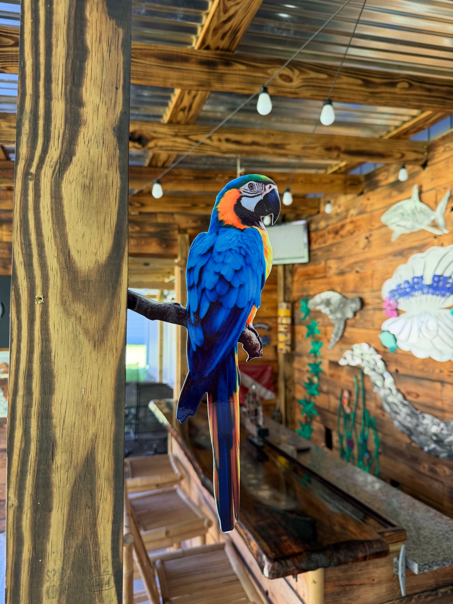 Blue and yellow Macaw tree/post mount