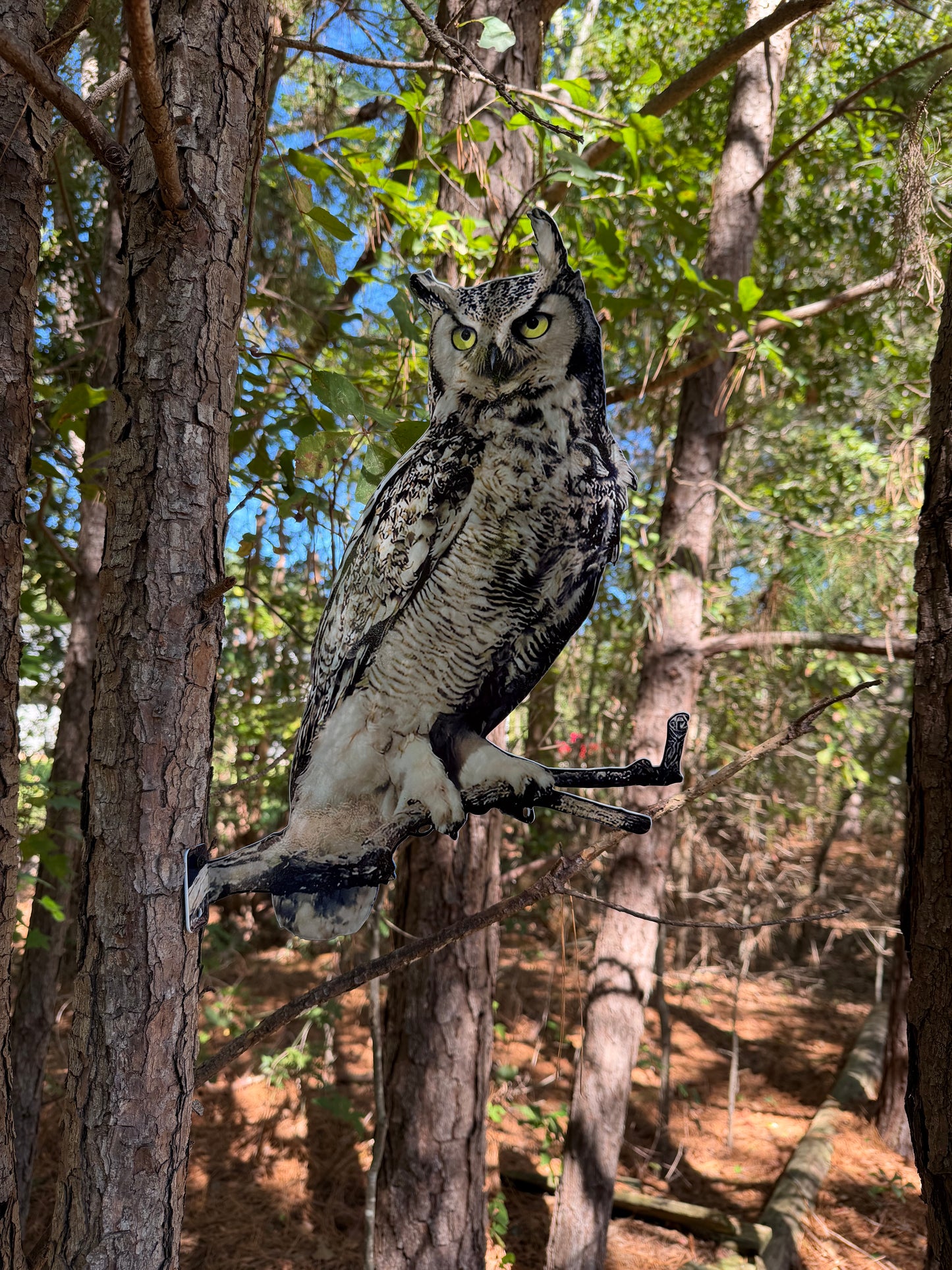 Great Horned Owl Post Mount