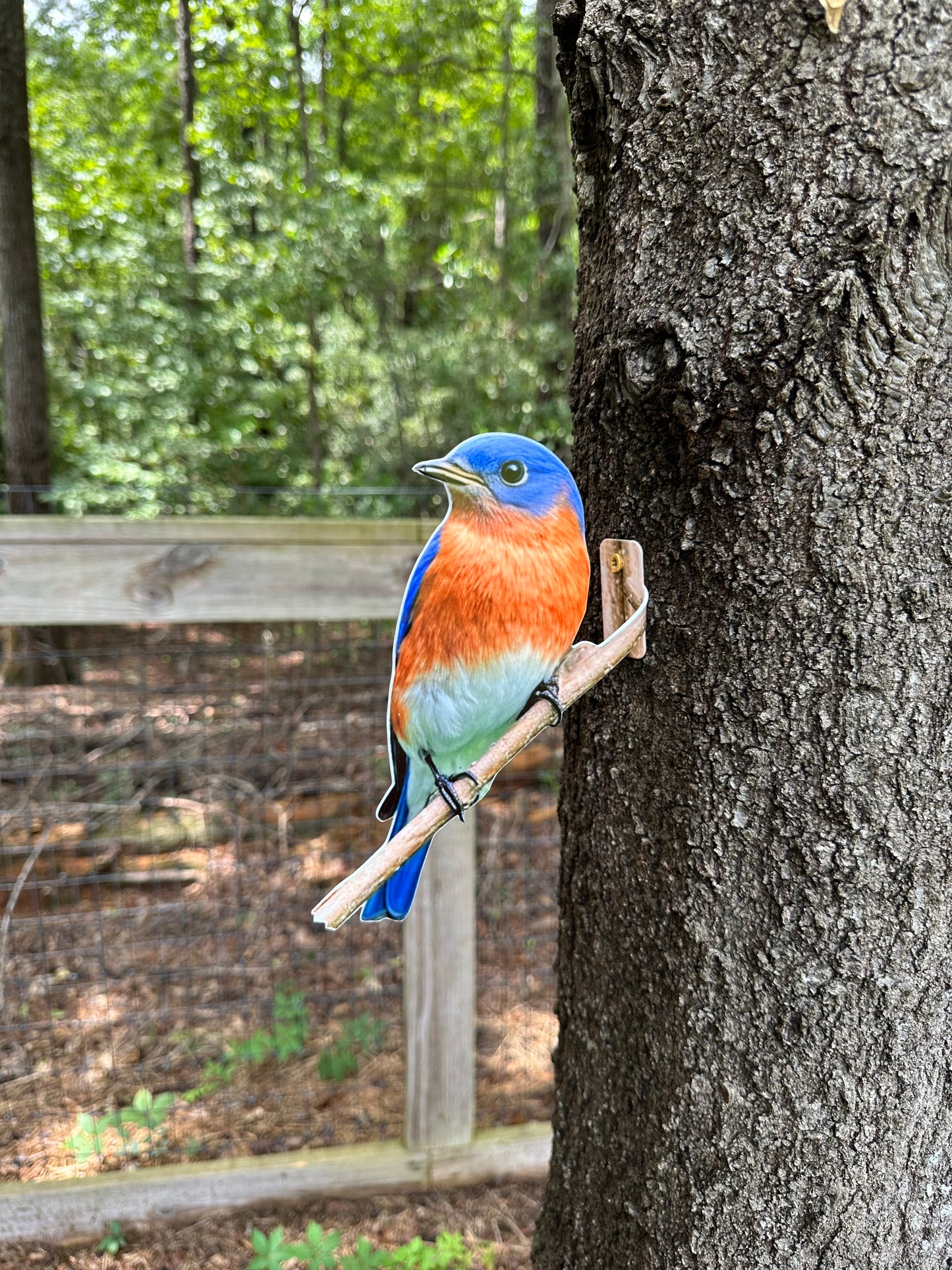 Eastern Blue bird tree/post mount