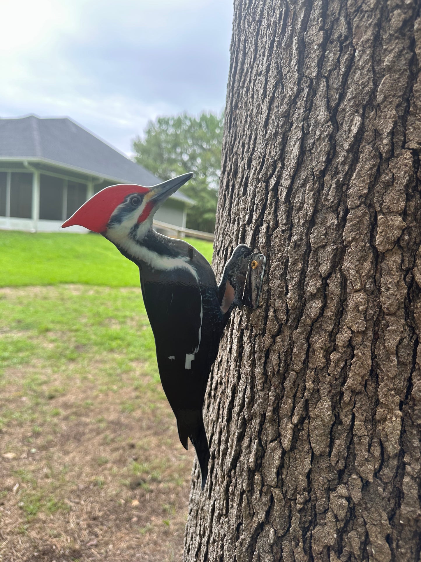 Pileated Woodpecker tree /post mount