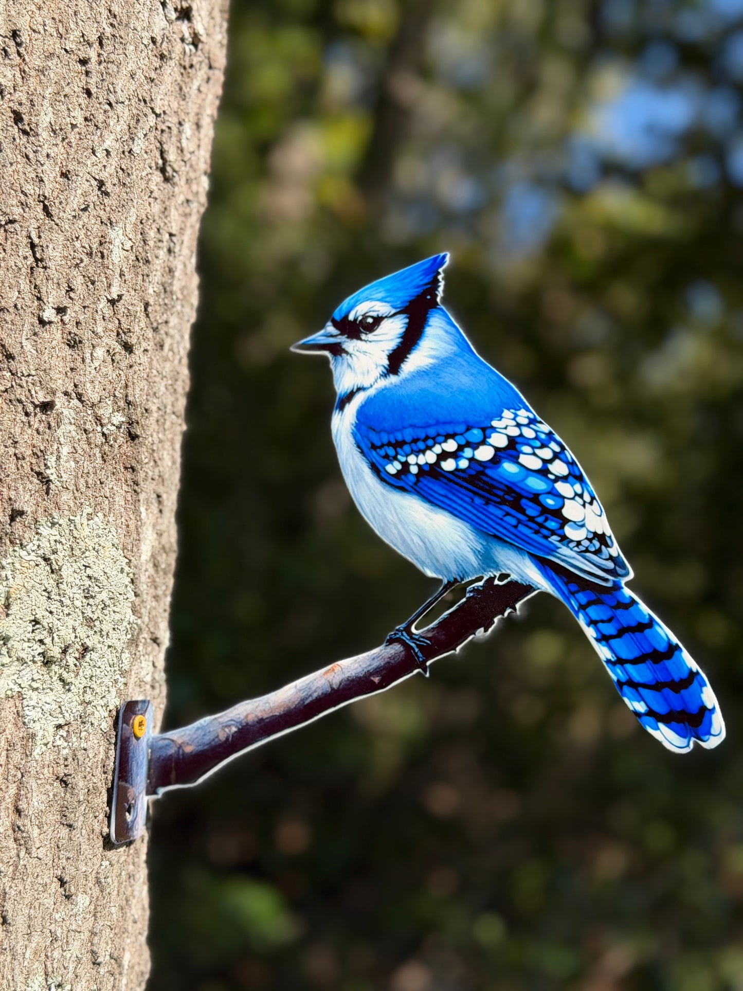 Blue Jay tree/post mount