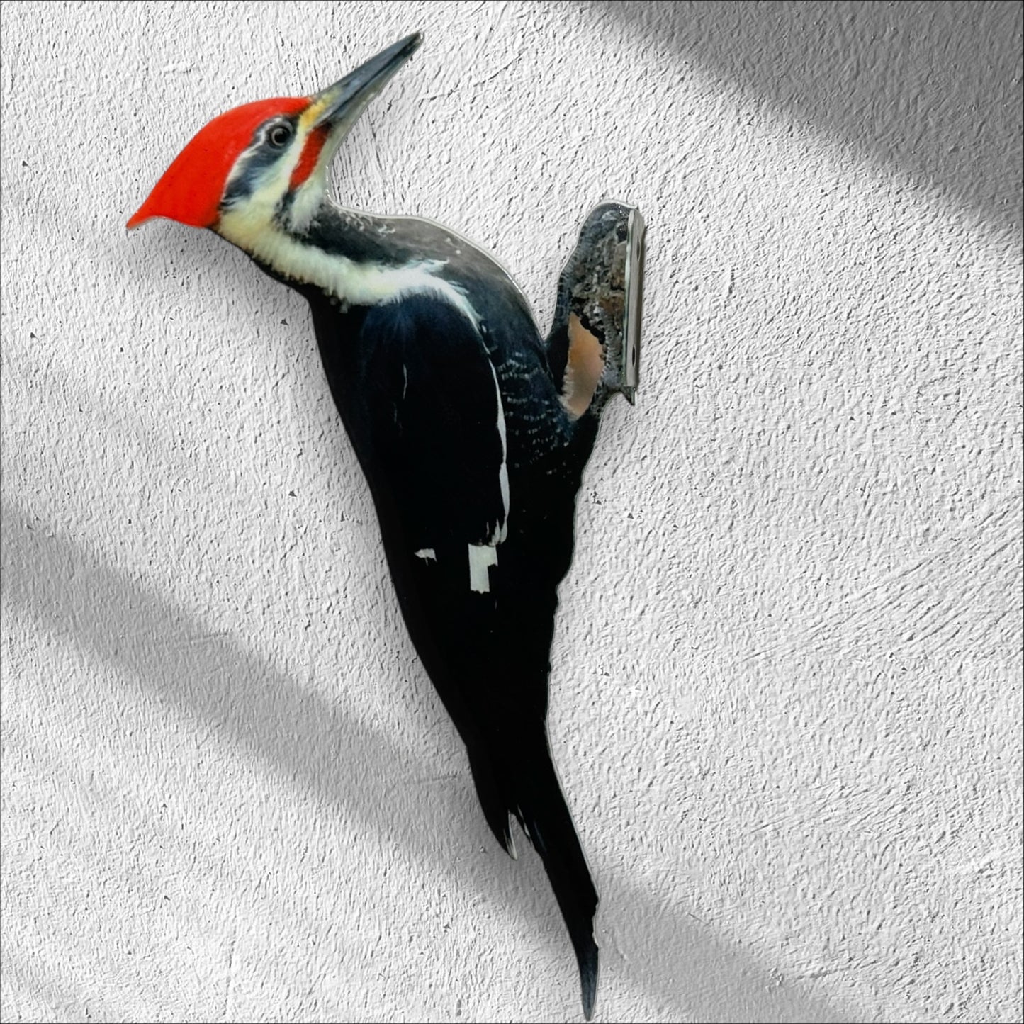 Pileated Woodpecker tree /post mount