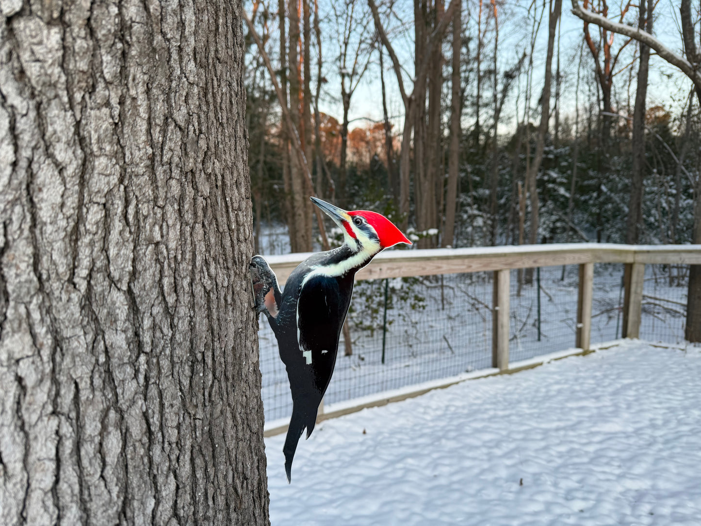 Pileated Woodpecker tree /post mount