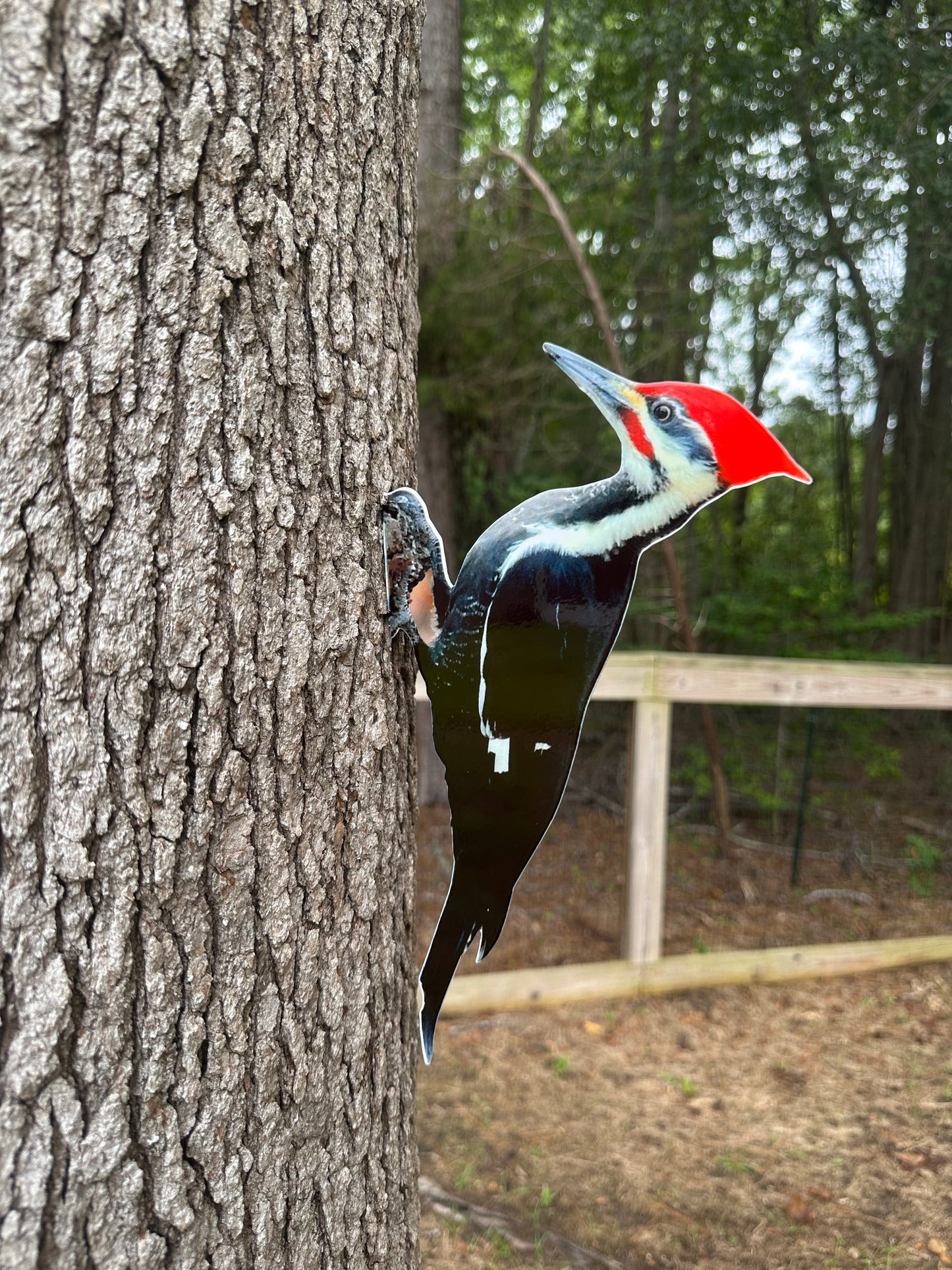 Pileated Woodpecker tree /post mount