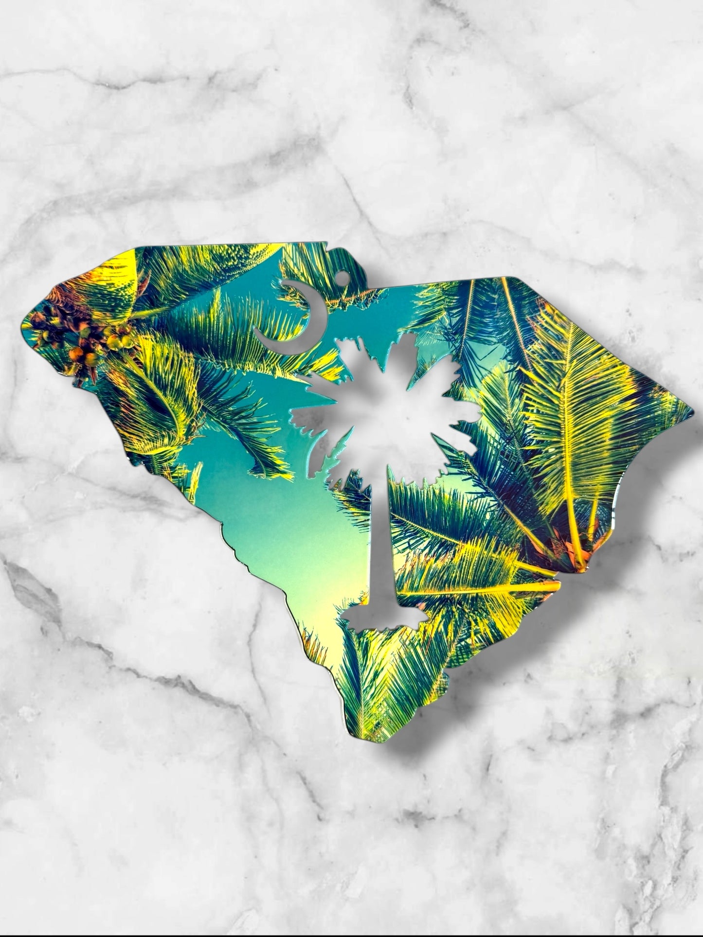 SC with palmetto scene