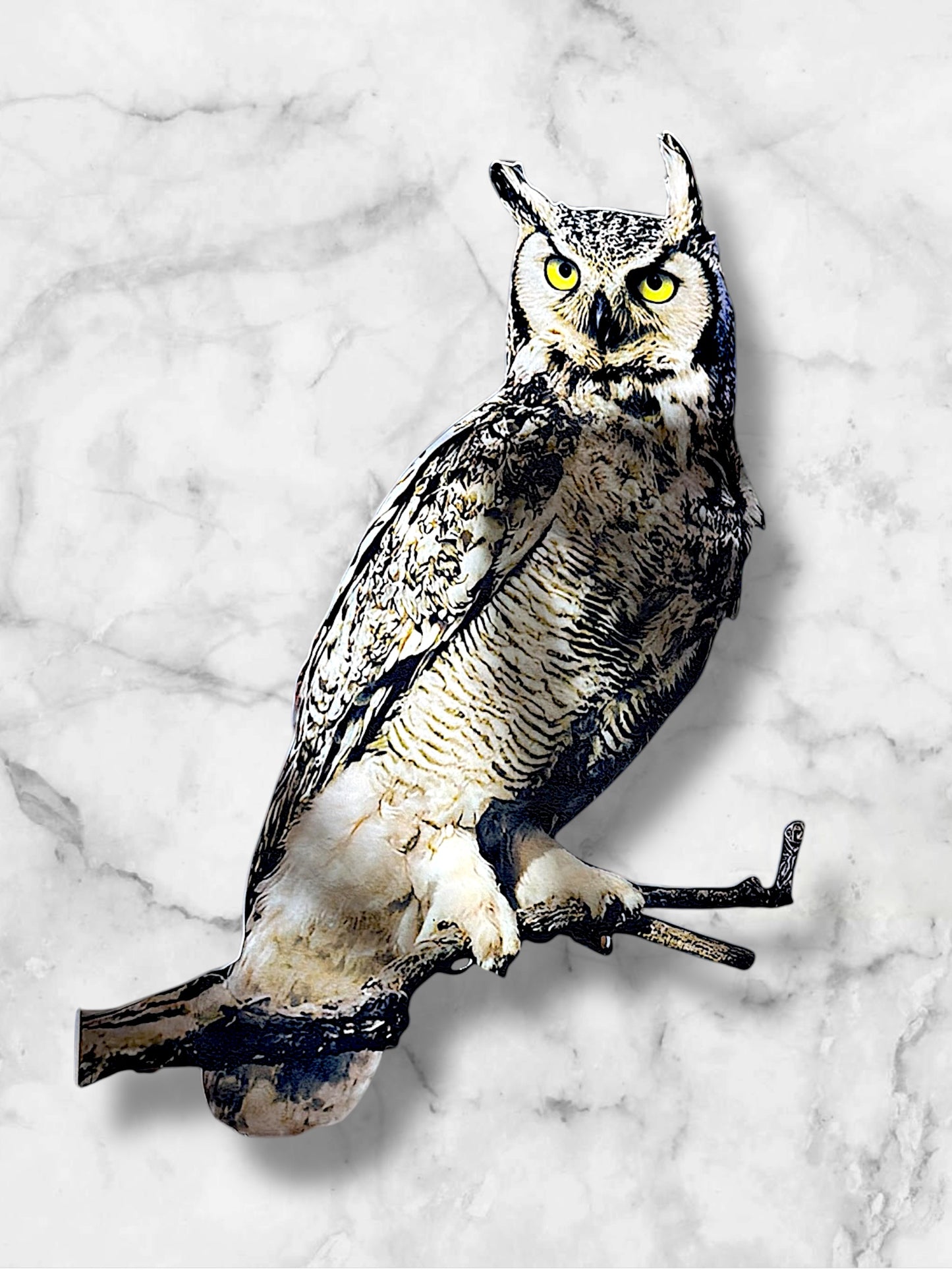Great Horned Owl