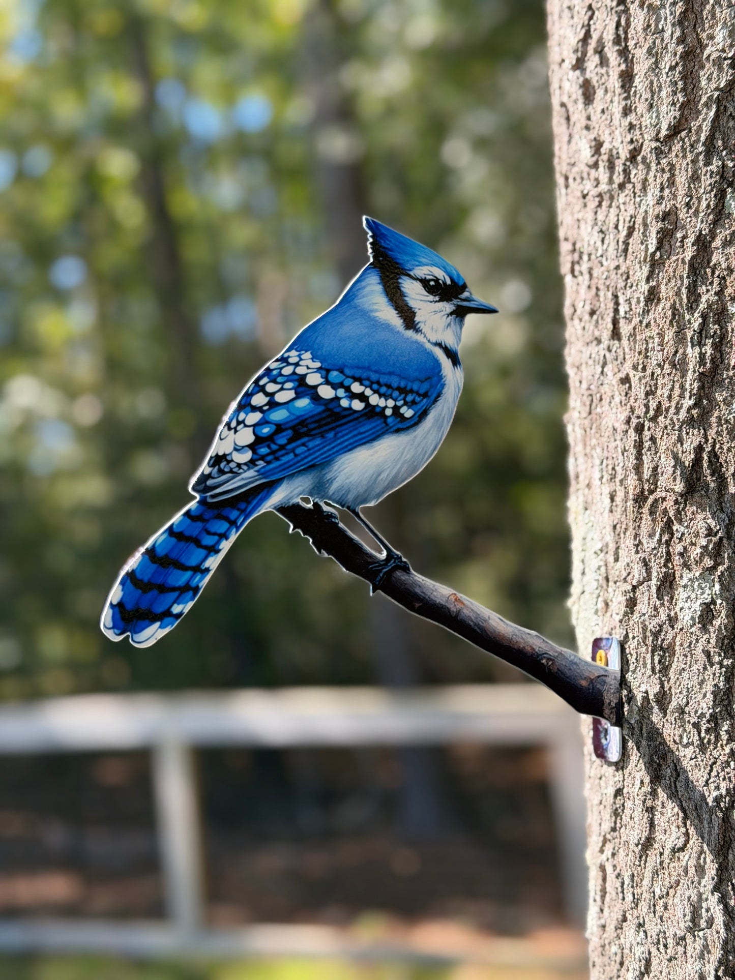 Blue Jay tree/post mount