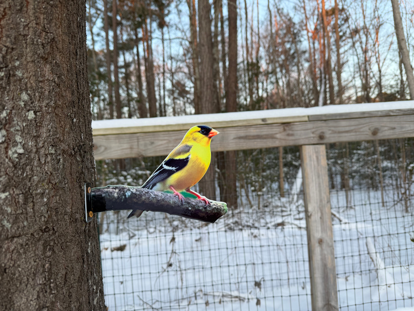 American Goldfinch tree/post mount