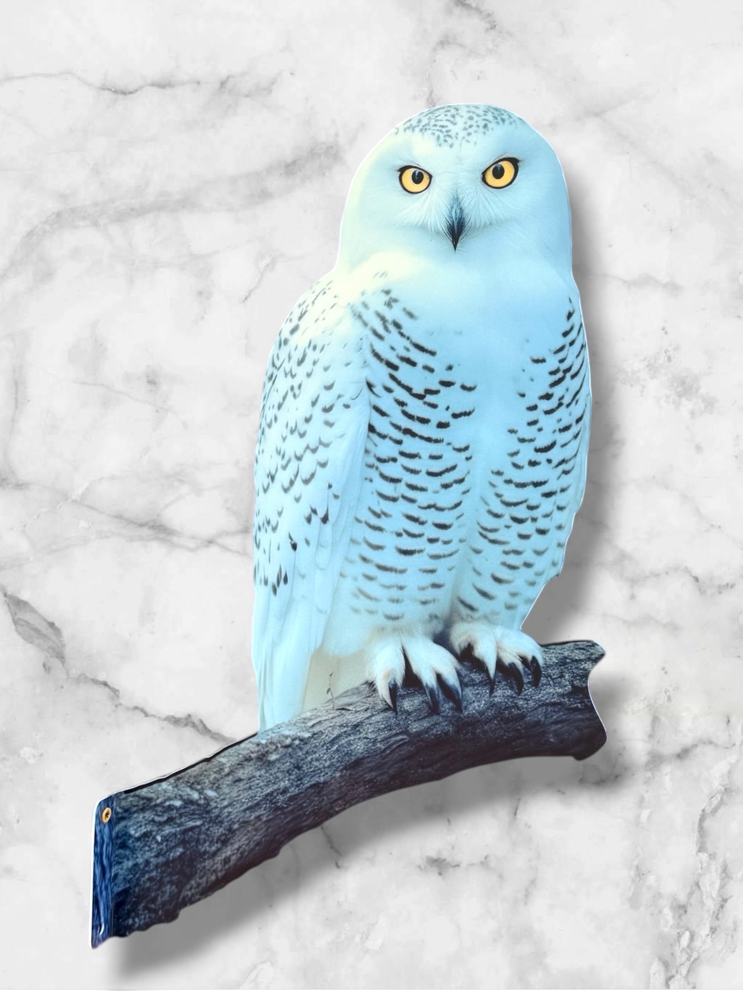 Snowy owl