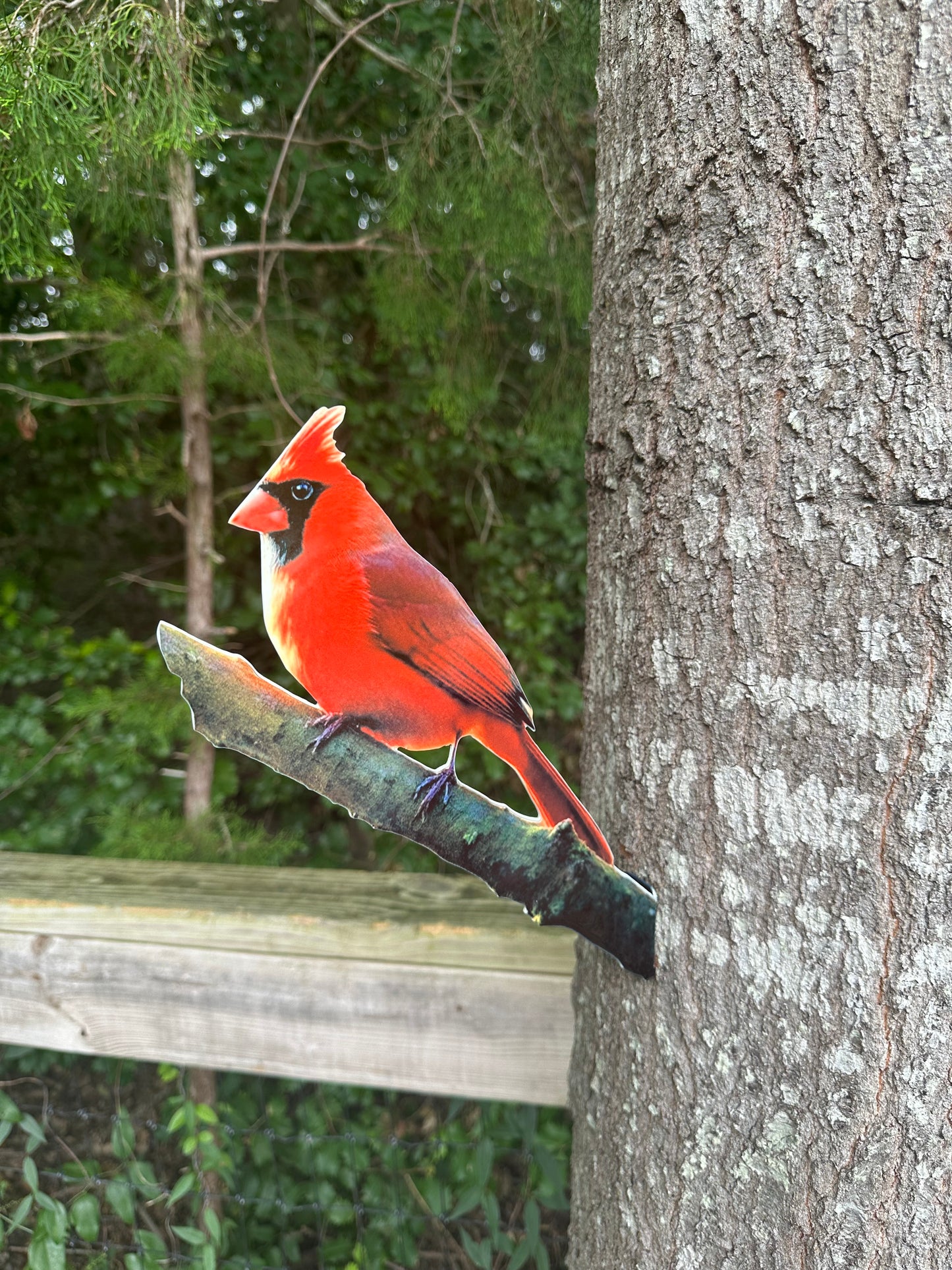 Cardinal tree mount