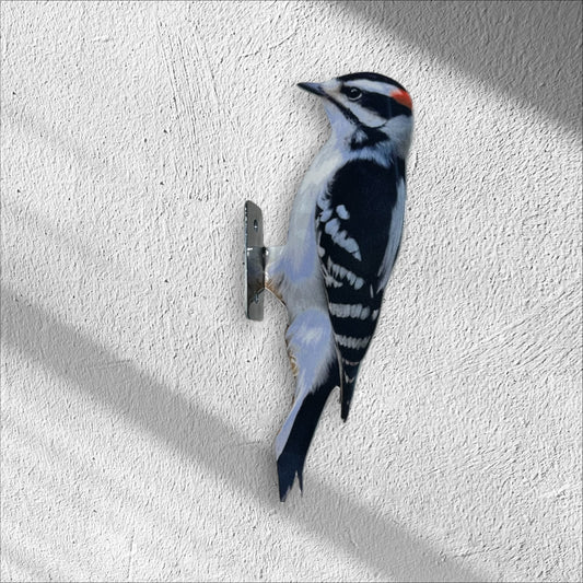 Downy Woodpecker tree/post mount