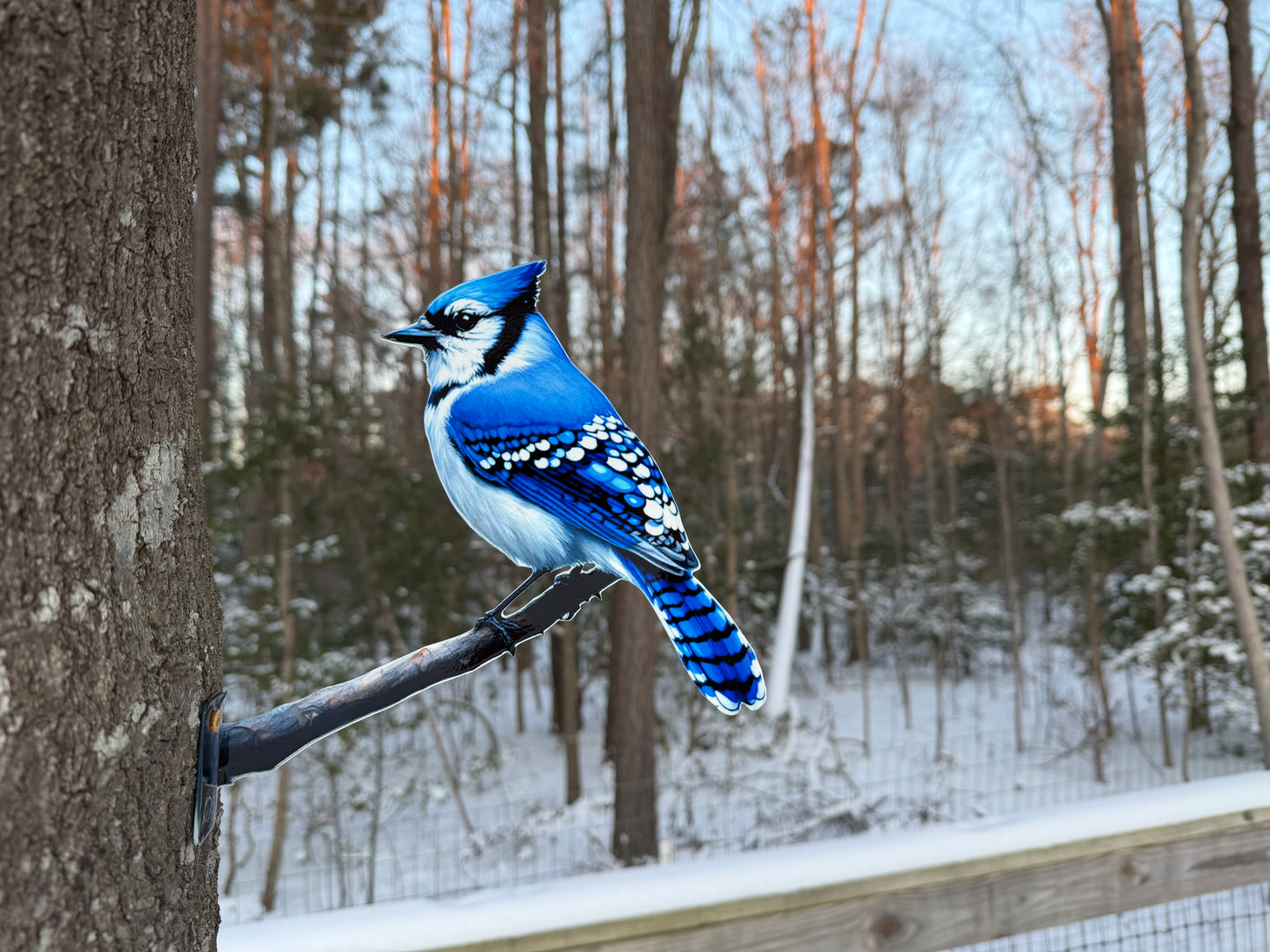 Blue Jay tree/post mount