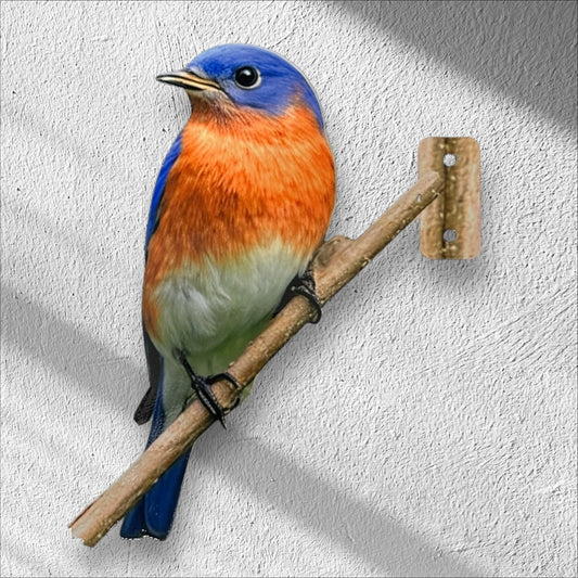Eastern Blue bird tree/post mount
