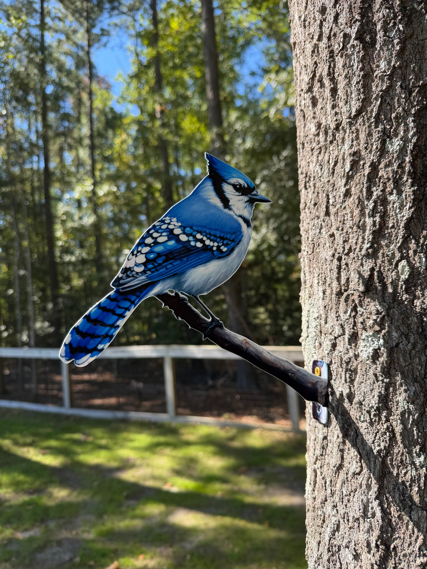 Blue Jay tree/post mount