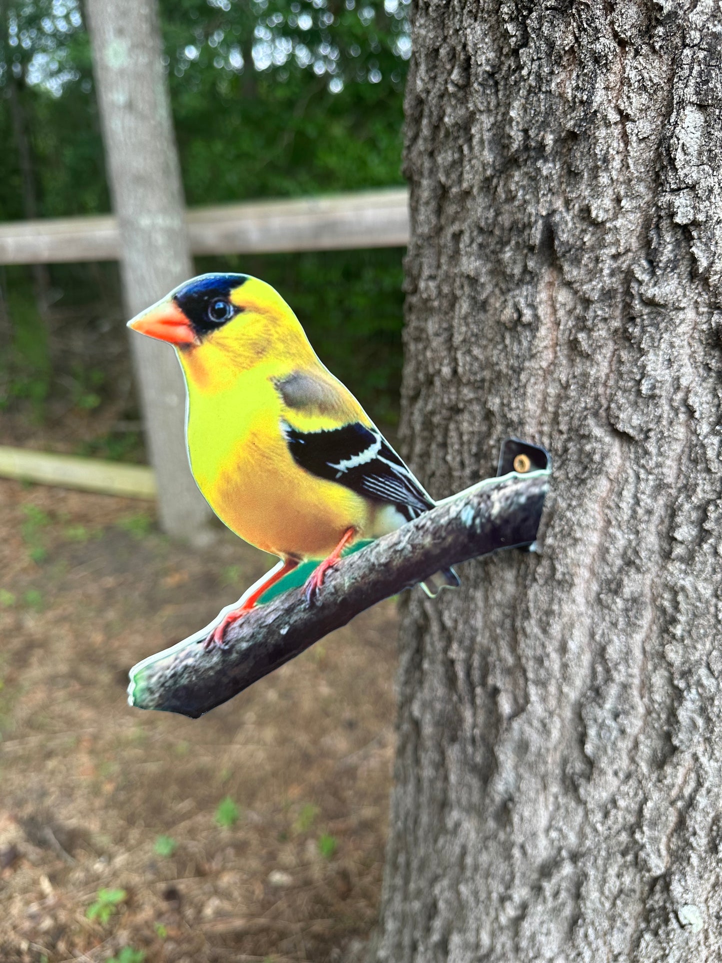 American Goldfinch tree/post mount