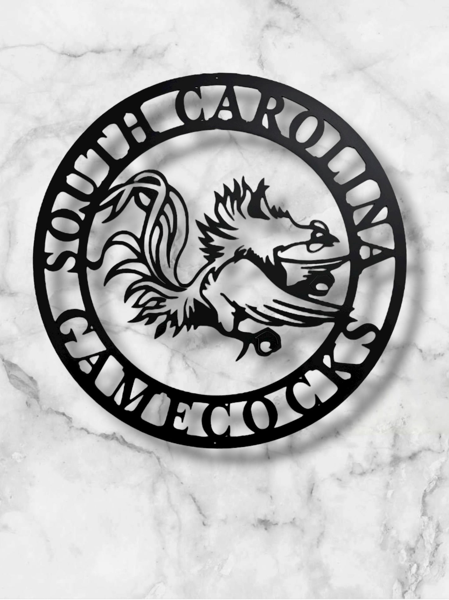 South Carolina Gamecocks